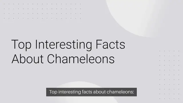 Video thumbnail for Top interesting facts about chameleons