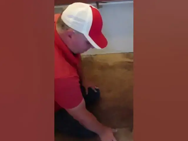 Video thumbnail for Wet Subfloor Under Linoleum #shorts