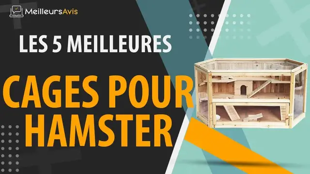 Video thumbnail for ⭐️ MEILLEURE CAGE POUR HAMSTER - Avis & Guide d'achat (Comparatif 2021)
