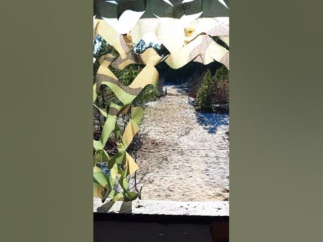 Video thumbnail for December 19, 2025