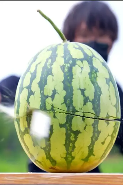 'Video thumbnail for Fastest time to cut 10 watermelons with a sword - 9.03 seconds by Fan Peng'