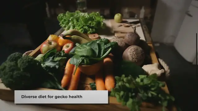 Video thumbnail for Feeding Your Pet Gecko: A Quick Guide