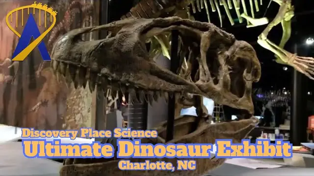'Video thumbnail for Ultimate Dinosaurs Exhibit at Discovery Place Science - Charlotte, NC'