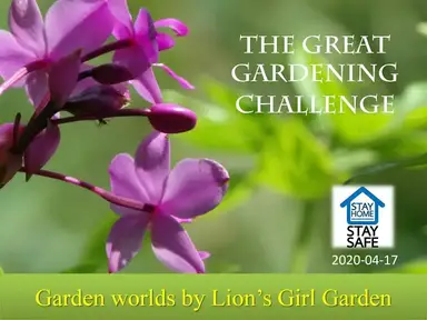 'Video thumbnail for 14 : The Great Gardening Challenge | Stay Home |Lion's Girl Garden'
