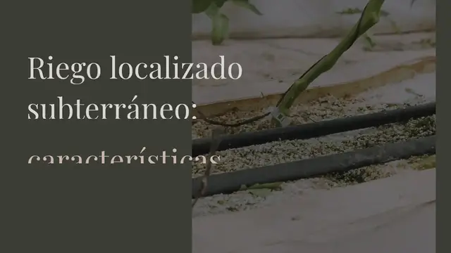 Video thumbnail for Riego localizado subterráneo: características y ventajas de su uso