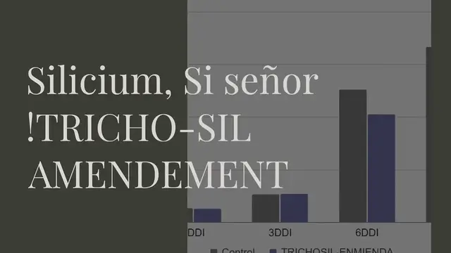 Video thumbnail for Silicium, Si señor ! TRICHO-SIL AMENDEMENT