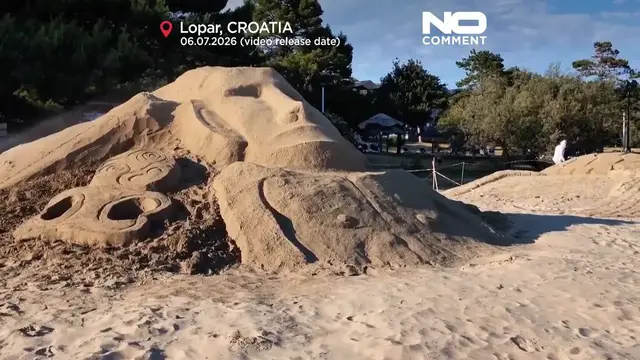 Video thumbnail for Artists create giant sea animals from sand