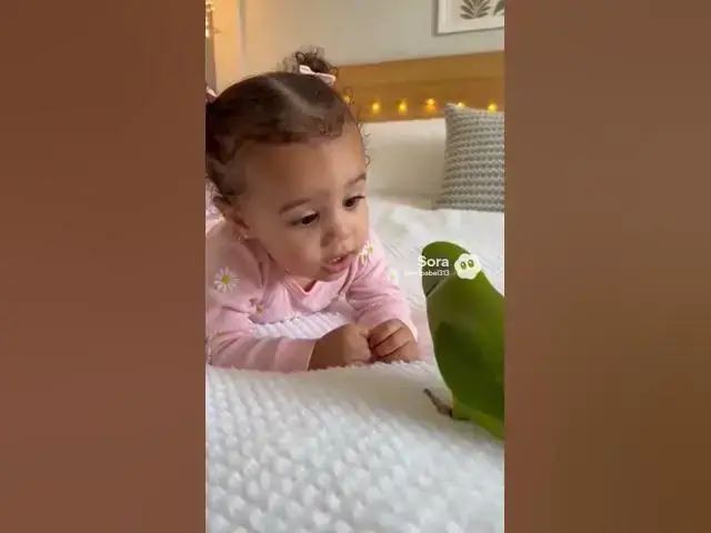 Video thumbnail for surah ikhlas ♥️♥️#trendingshorts #subscribe #shortvideo #beautiful #love