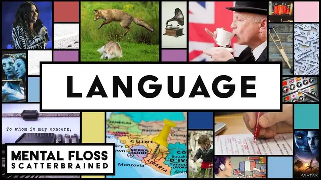 Video thumbnail for Everything You Need to Know About English and Other Languages! - Mental Floss Scatterbrained