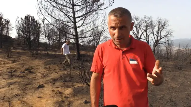 Video thumbnail for Algeria: Efforts underway to bind up wounds from forest fires in Algeria's Jijel.