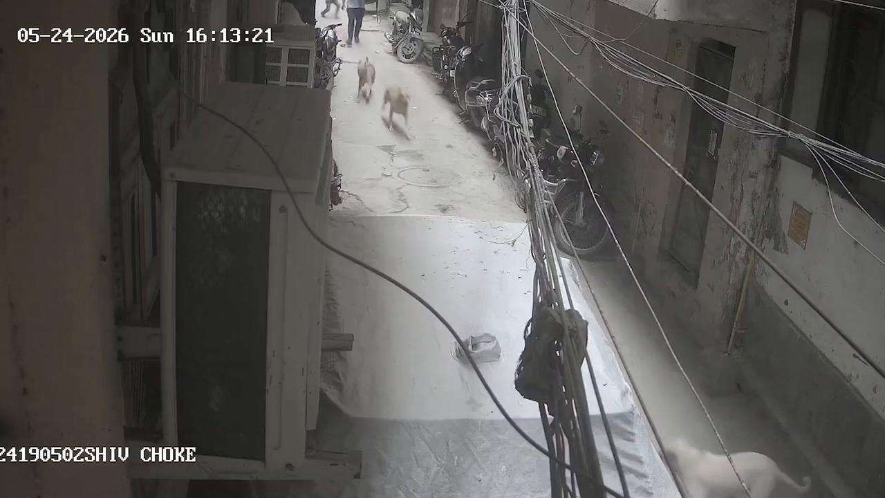 Video thumbnail for India: Child attacked by stray dogs in Delhi as furious residents demand urgent crackdown on growing menace.