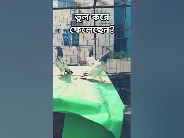 'Video thumbnail for ভুল করে ফেলেছেন? 😱 | Mizanur Rahman Azhari | Smart Islamic Talk'