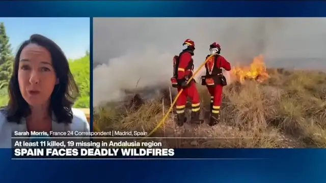 Video thumbnail for Spain faces deadly wildfires, at least 12 killed, 19 missing in Andalusia