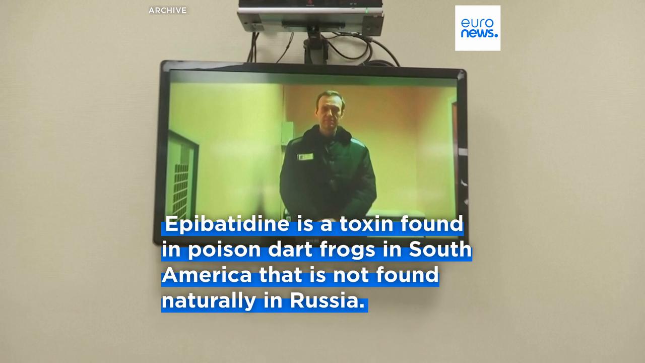 Video thumbnail for Russia poisoned Navalny, according to five European countries' scientific findings