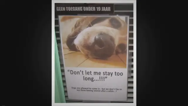 Video thumbnail for International Animal Rights Day: A Global Call for Compassion