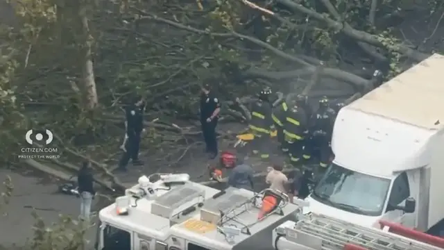 Video thumbnail for NYCHA worker killed by falling tree in East New York
