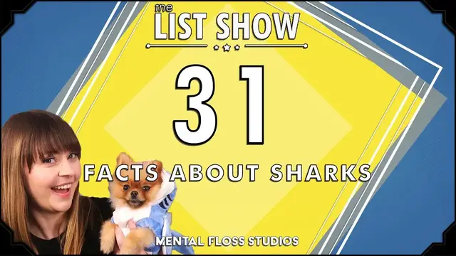 Video thumbnail for 31 Facts About Sharks | Mental Floss List Show | 534 | Mental Floss