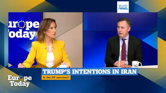 Video thumbnail for 'EU-US trade deal is separate from Greenland dispute,' top MEP McAllister tells Euronews