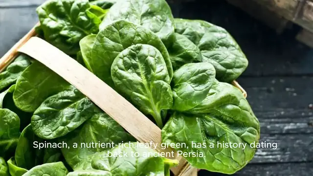 Video thumbnail for Creamed Spinach Recipe