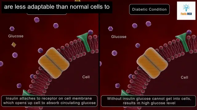 Video thumbnail for Surprising Ways Fasting Improves Your Health According to Experts