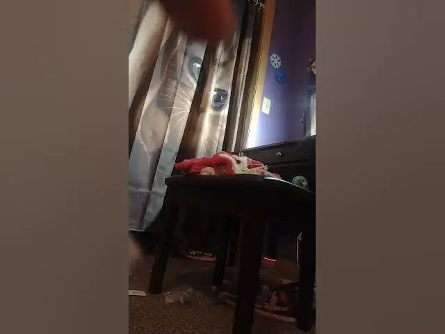 Video thumbnail for April 7, 2025