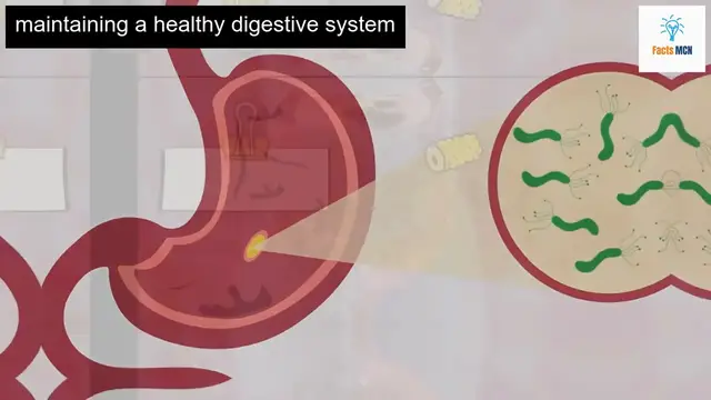 Video thumbnail for Surprising Ways Onions Affect Your Body – Must-See!