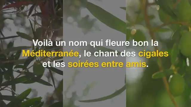 Video thumbnail for Mediterranean_Picholine_Olive_Delight