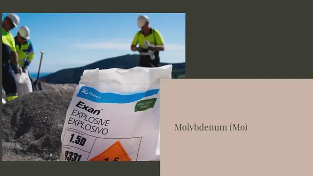 Video thumbnail for The importance of molybdenum and cobalt in plants