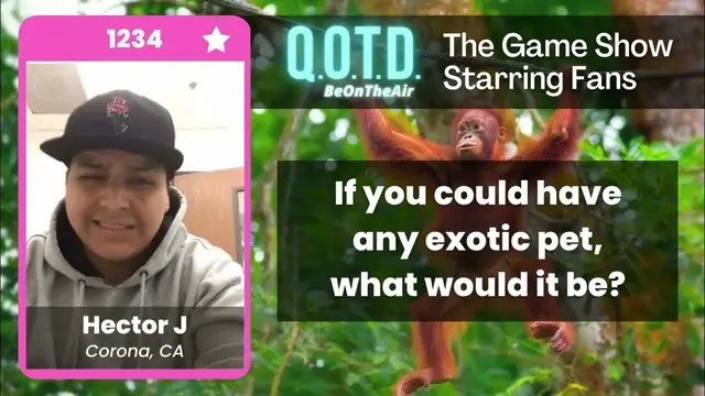 Video thumbnail for Our Favorite Answers: Hector wants an orangutan BFF. Talk about monkeying around!