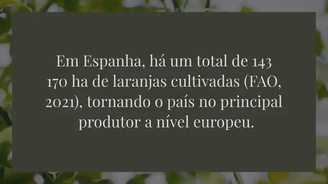 Video thumbnail for Reduzir a queda de frutos nos citrinos