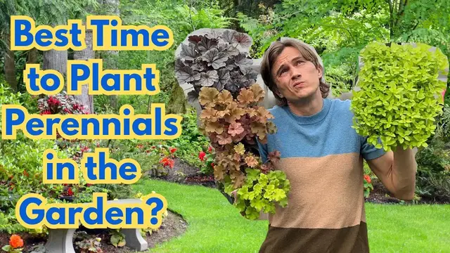 Video thumbnail for When is Best time to Plant Perennials in the Garden?
