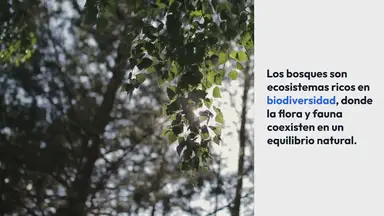 'Video thumbnail for Cuál es la flora y fauna de los bosques'