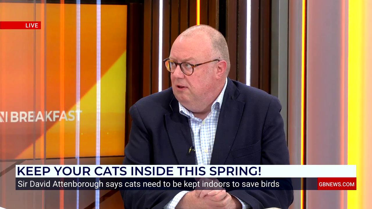 Video thumbnail for GB News star 'annoyed' by Sir David Attenborough's 'unfair' call to keep cats INDOORS to protect local birds