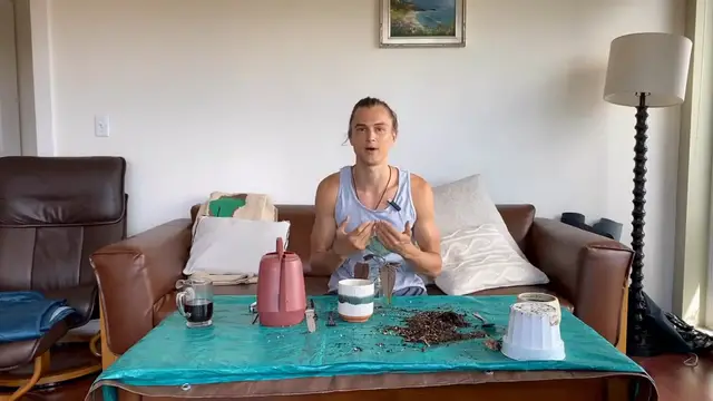 Video thumbnail for Propagating Plants from Tip Cuttings in Water