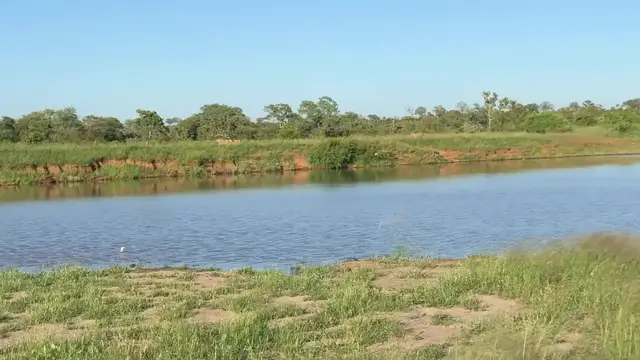 Video thumbnail for Leaping Wildebeest Kicks Lioness In Dramatic Escape | Wild-ish TV