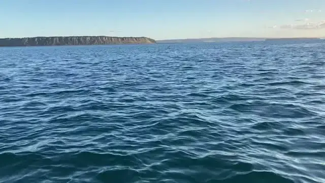Video thumbnail for Girl Stunned As Humpbacks Breach And Pirouette Next To Boat | Wild-ish TV