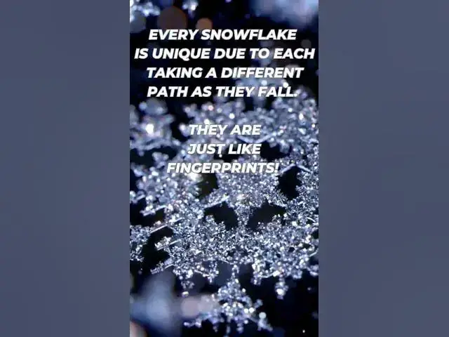 'Video thumbnail for Facts about Snowflakes. #christmas #snowflakes #snow #winter'