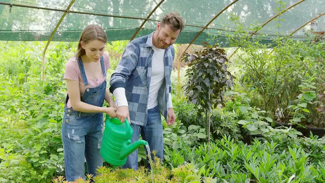 'Video thumbnail for Flowering Shrubs for Pots'
