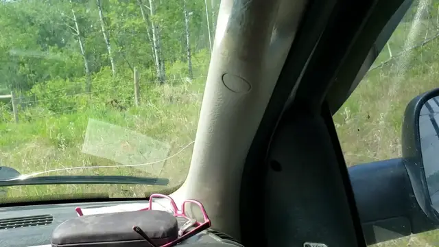 Video thumbnail for Moose Calf Trapped In Barbed Wire Rescued | Wild-ish TV