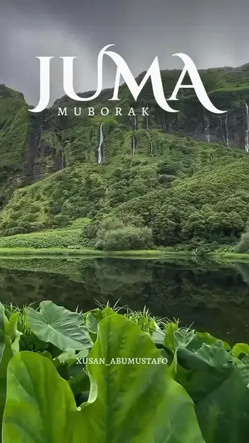 Video thumbnail for VID_96740814_005115_992