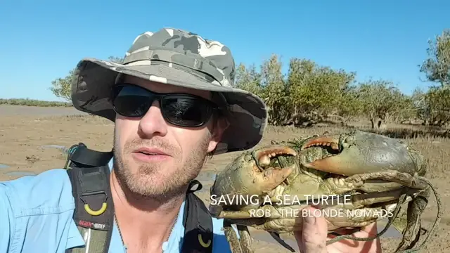 Video thumbnail for Turtle Stranded In Mud Rescued By Kind Traveler | Wild-ish TV