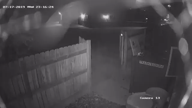 Video thumbnail for Bear Can't Open Dumpster So Steals It Instead | Wild-ish TV