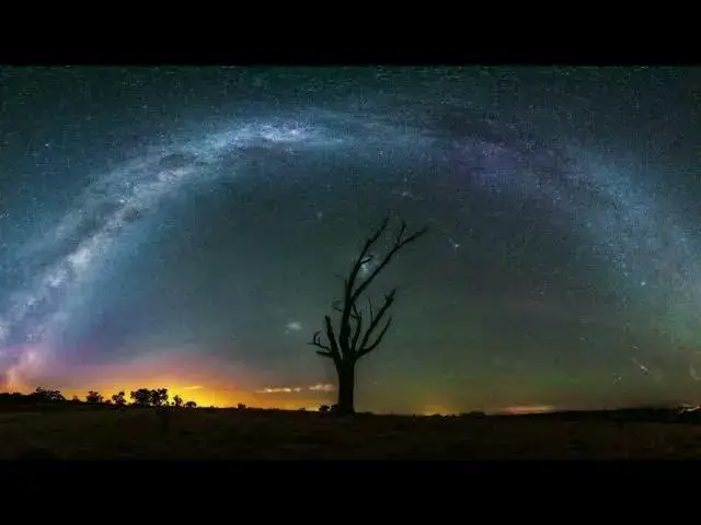 Video thumbnail for Lonely Tree 4