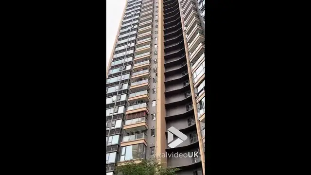 Video thumbnail for VV5049 Monkey roaming in high-rise residential buildings