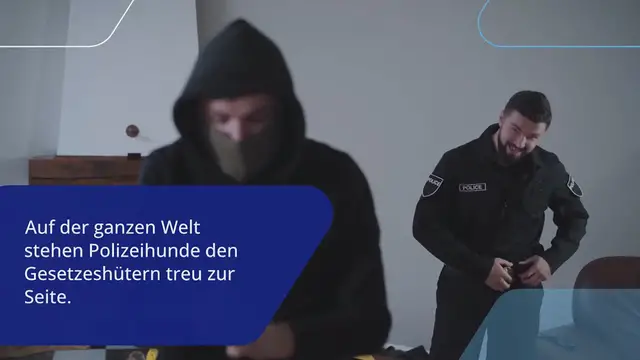 Video thumbnail for Labrador-Welpe wird Polizeihund – welche Aufgabe er hat, berührt das Herz