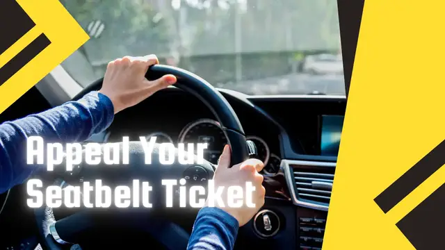 Video thumbnail for Leverage AI for Your Seatbelt Ticket Appeal: A Complete Guide