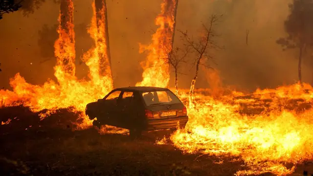 'Video thumbnail for Record wildfires devastate Portugal as firefighters battle relentless blazes'