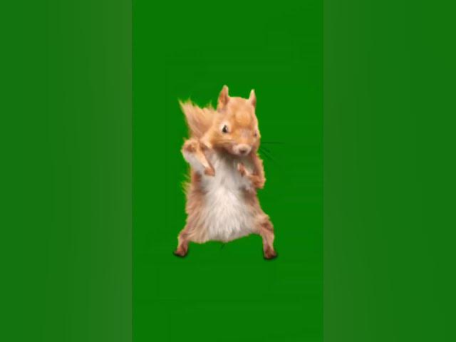 Video thumbnail for Jimmy dancing part3