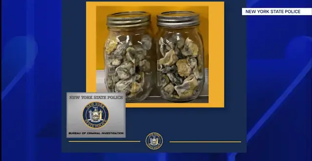 Video thumbnail for Hiker charged after getting lost in Harriman State Park and found with hallucinogens