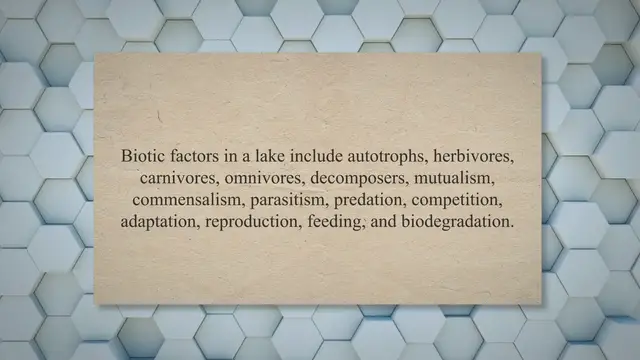 Video thumbnail for 15 Biotic Factors in a Lake Ecosystem and Their Characteristics - Felsics.com
